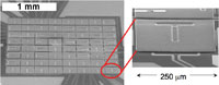 The 2x8 calorimeter array