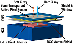 WFI/HXI Layout